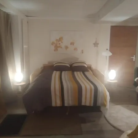 Au Bon Air Apartment Lautenbach