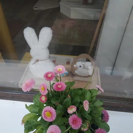 Au Bon Air Lautenbach