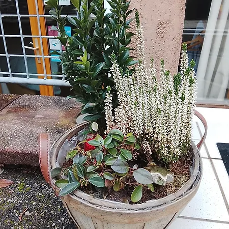 Apartmán Au Bon Air *