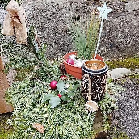 Au Bon Air Lägenhet Lautenbach