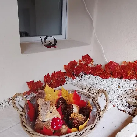 Au Bon Air Appartement Lautenbach
